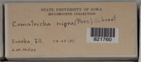 Image Associated With the Occurence